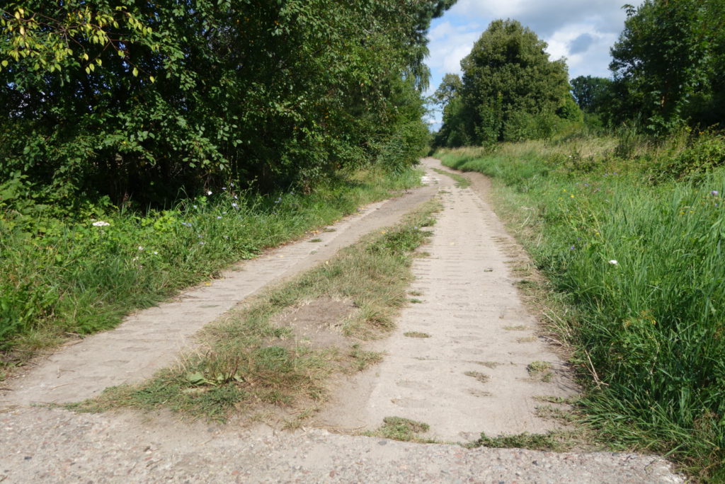 Greenvelo in Polen